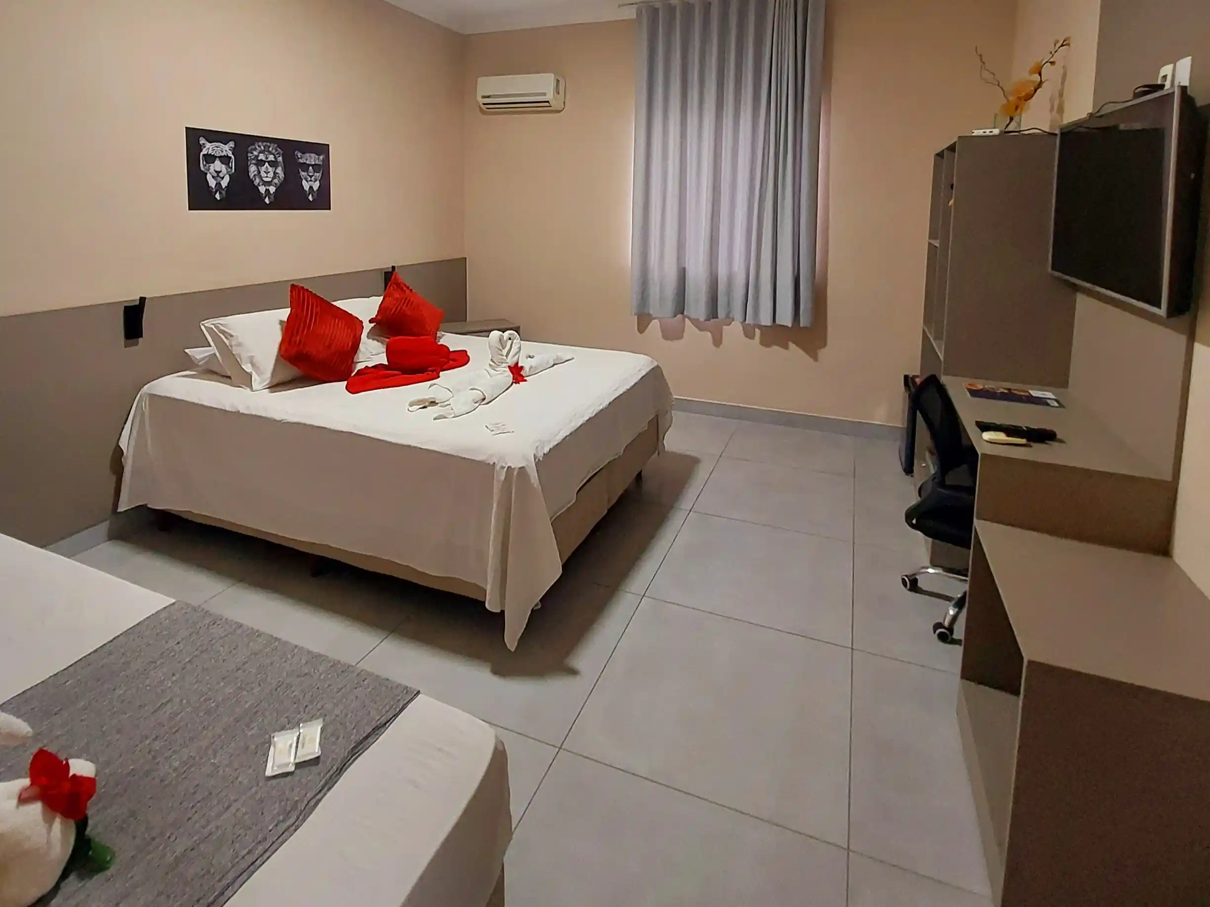 suite moderna
